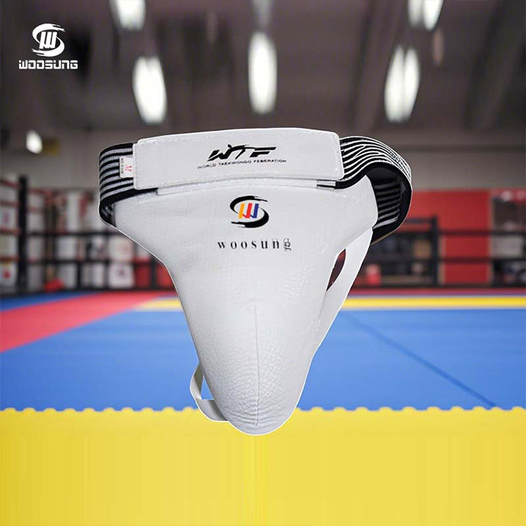 Protecteur de l'aine mâle de Taekwondo